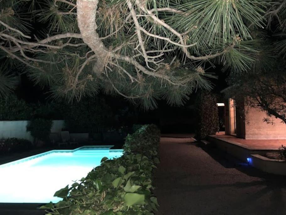 La Pitchoune : Gite Aux Pieds Des Alpilles Mouries Exterior foto